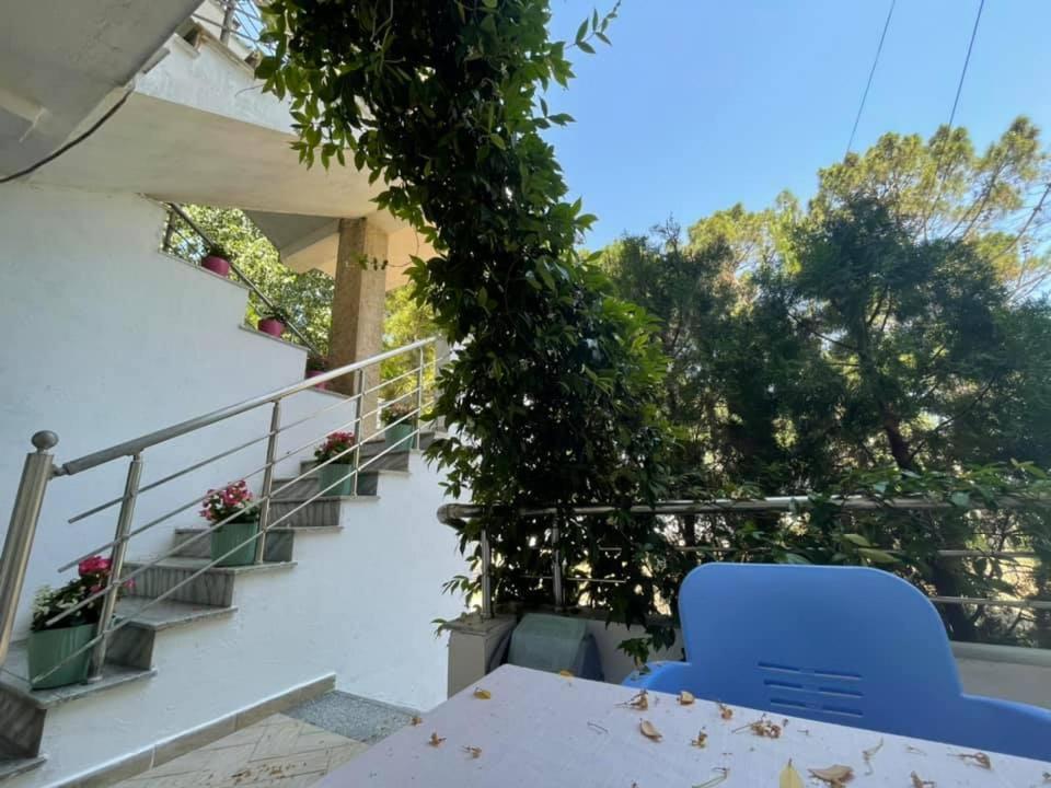 Aparthotel Vila Tufi Velipojë 外观 照片
