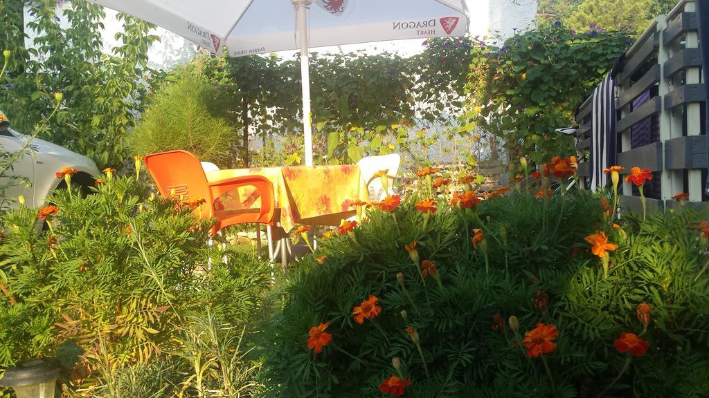 Aparthotel Vila Tufi Velipojë 客房 照片